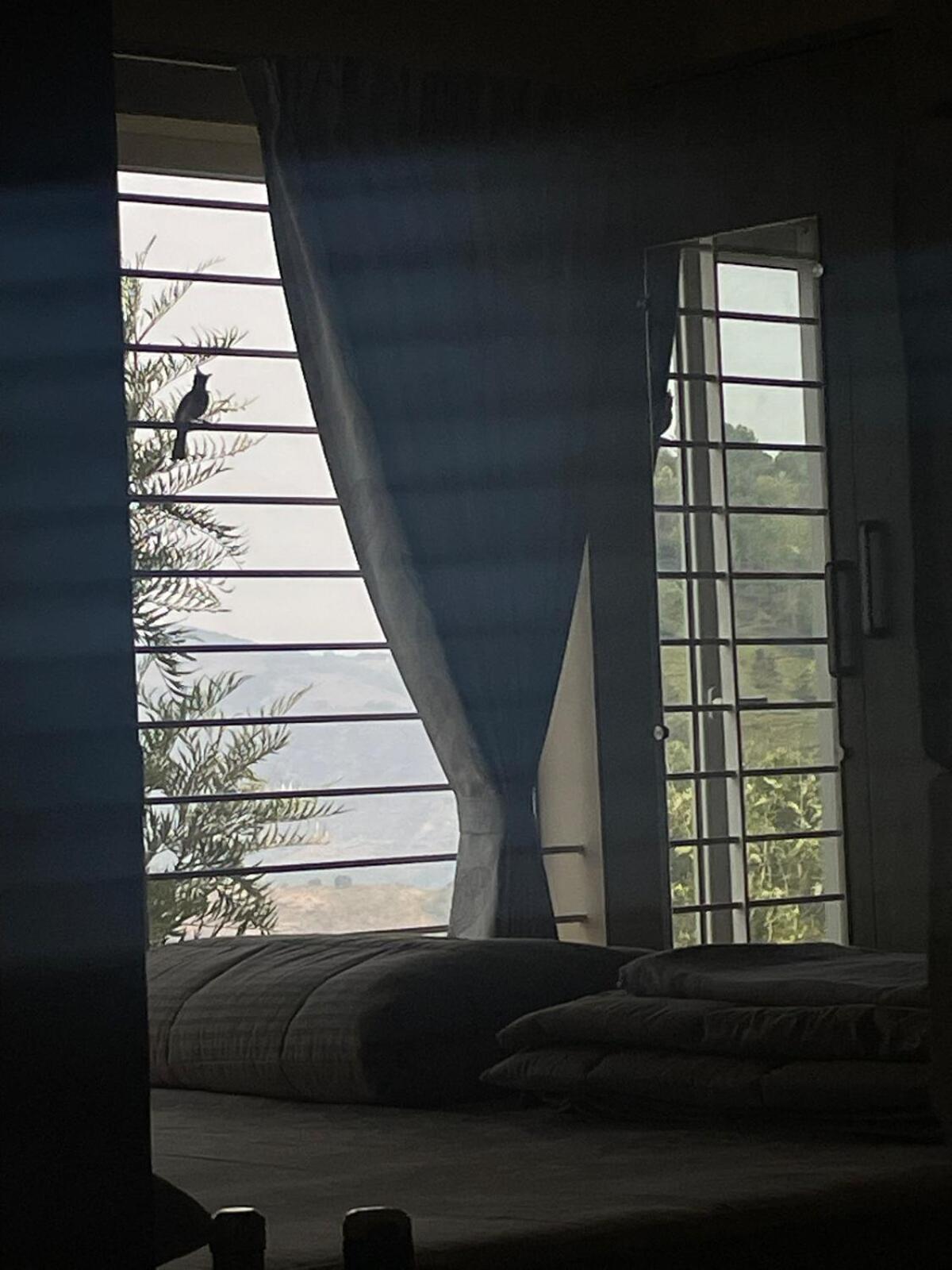 Casa De Kcn Villa Kotagiri Bagian luar foto