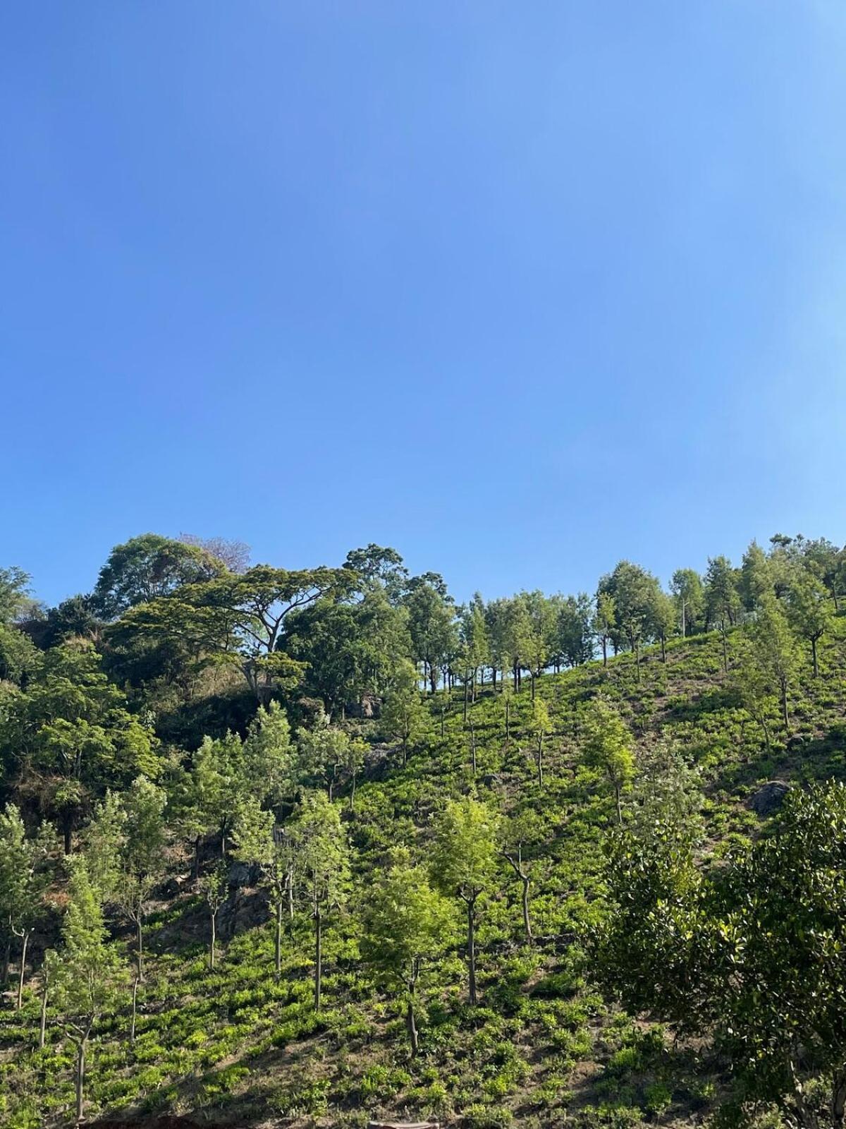 Casa De Kcn Villa Kotagiri Bagian luar foto